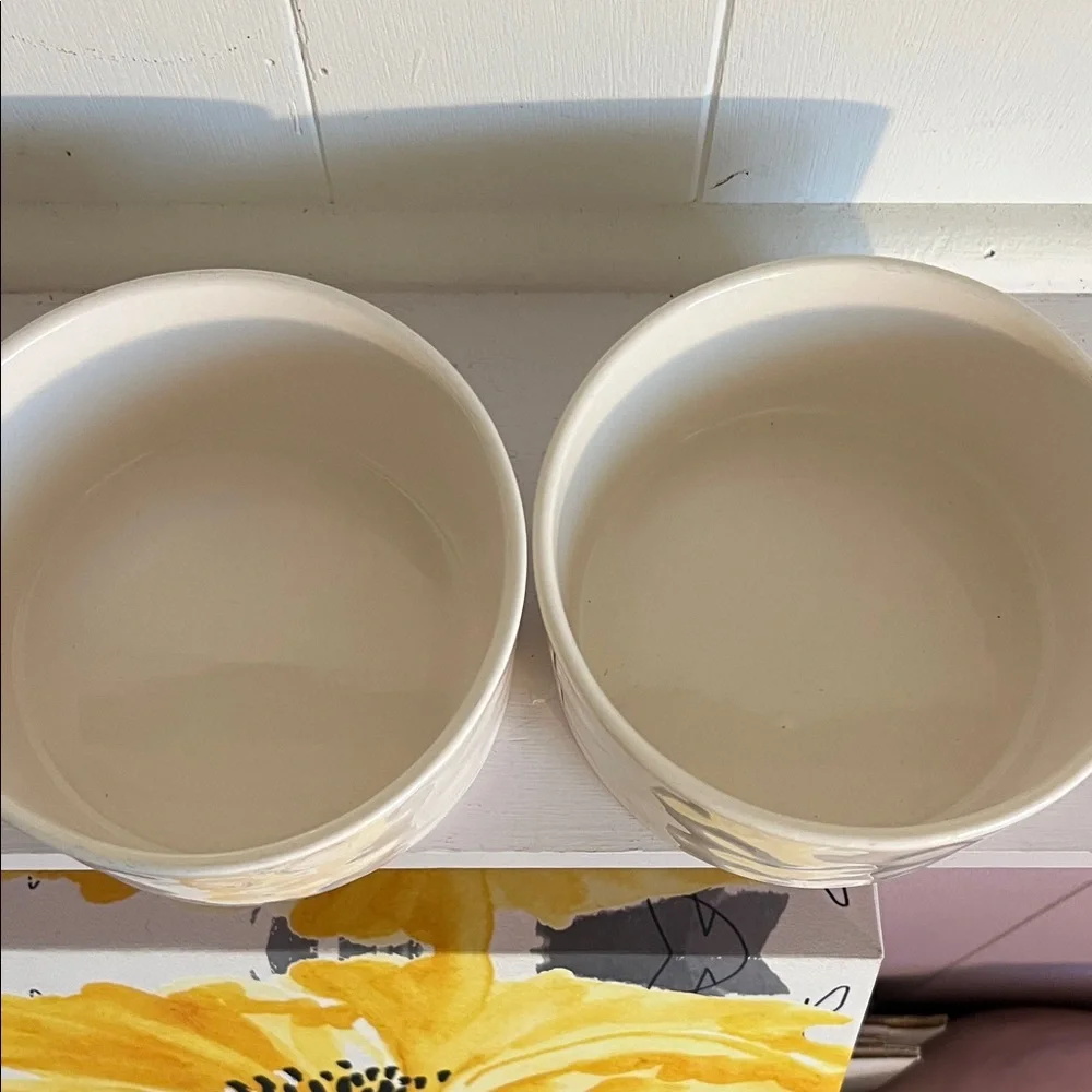 Rae Dunn Cream Ceramic Pet Bowls Set